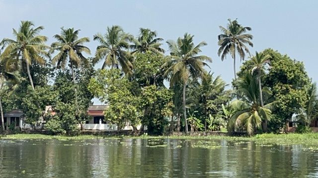 6-7 jan - Lyxig husbåtsupplevelse i Kerala 🏞️🚤 😌🌴