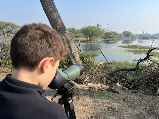 18 dec - Familjens första fågelsafari - blev en succé 🦜